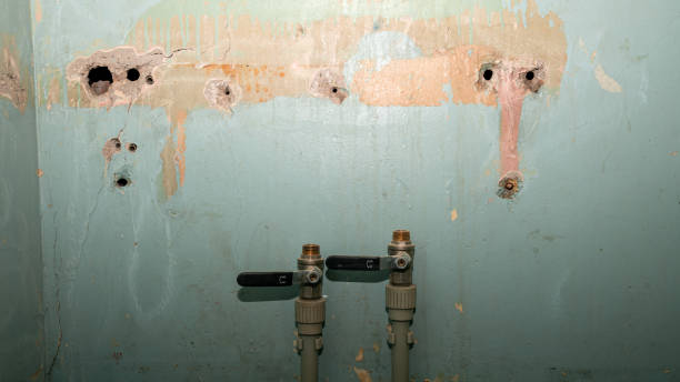Best Flood damage cleanup  in Moapa Valley, NV
